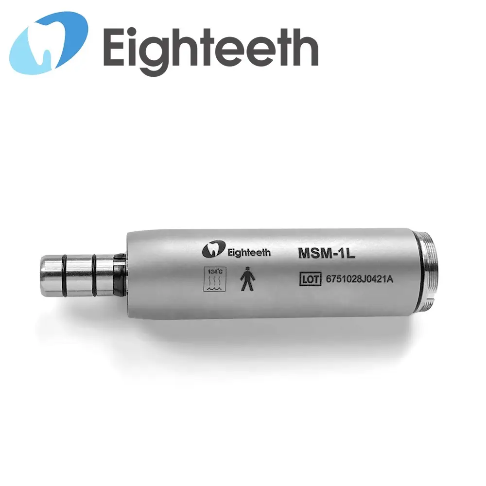 Eighteeth MotorSurg - Motor MSM-1L prostnica