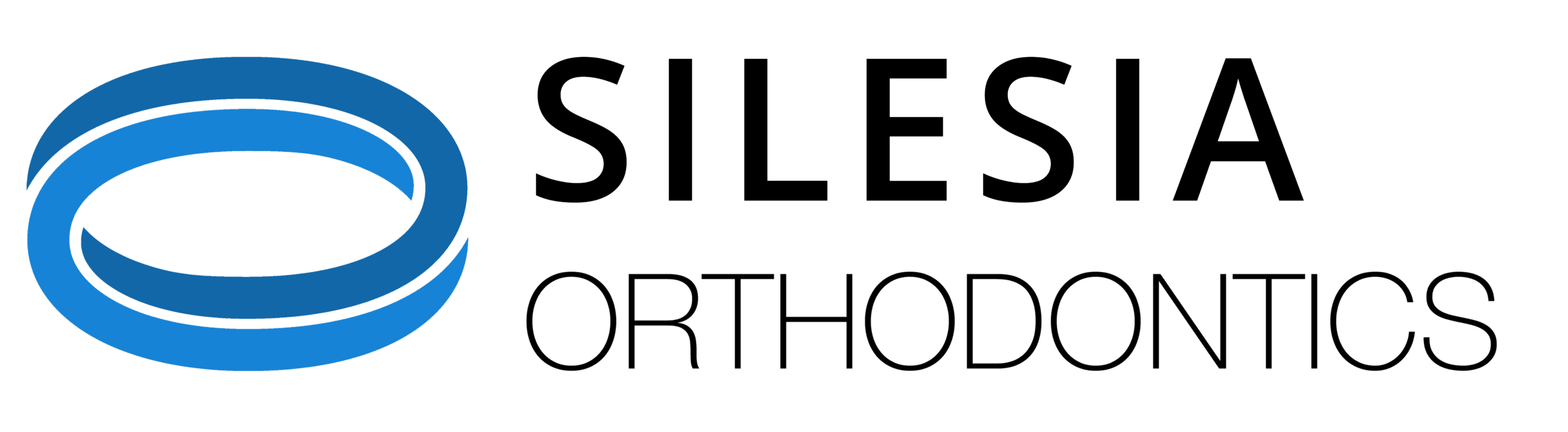 logo-PNG_SILESIA-V1-scaled
